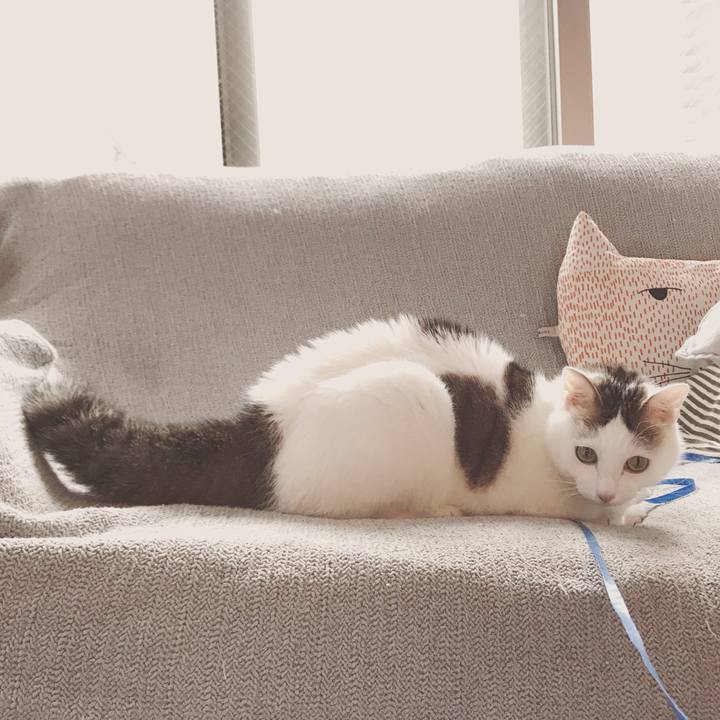 579ada9d fdff 4cc3 a990 67431778e22d 1570340268542