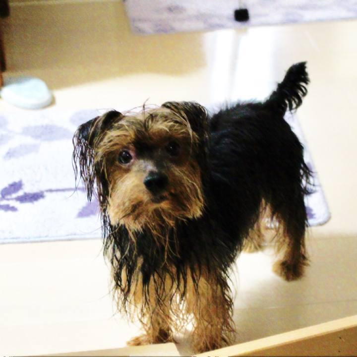 579ae017 2fa3 4d17 ae1f dc5dbc47dea9 1531007543337