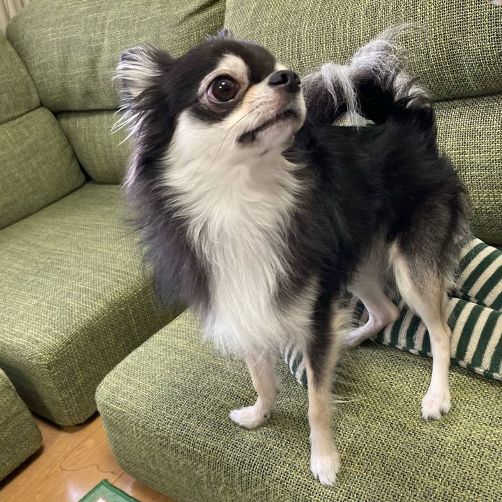 579b5c87 8b44 4870 8514 9a5608df990b 1665323018284