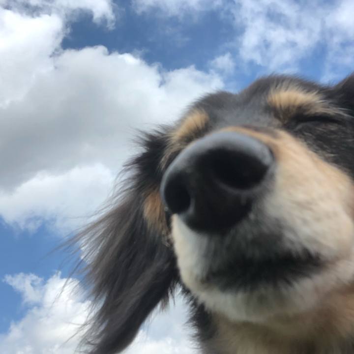 579b614a 1c8d 4adf a120 4153fc8cdc9b 1592958009246