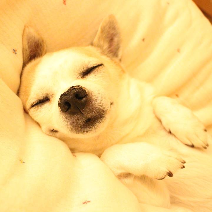 579b638a f2cd 4ef5 9999 a7e6d79683f5 1511187638140