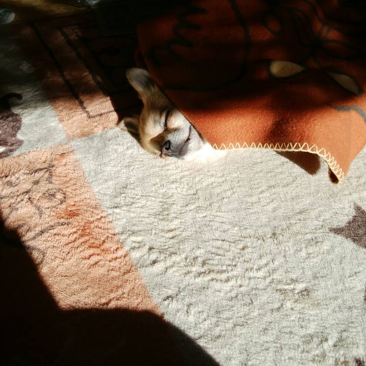 579b7616 38c3 468f a328 ce2348367329 1514354053427