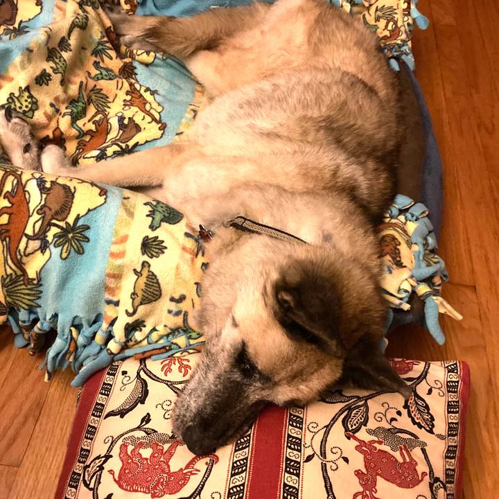 579b7d04 be19 4763 984c fb6e44a08bf7 1598493730266