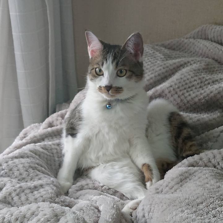 579b8b73 a521 4622 ba73 01d802cdc24a 1557630735017