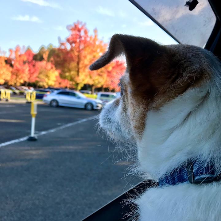 579b8ffd 86fc 4dc5 af67 758e8482a79a 1635933617538