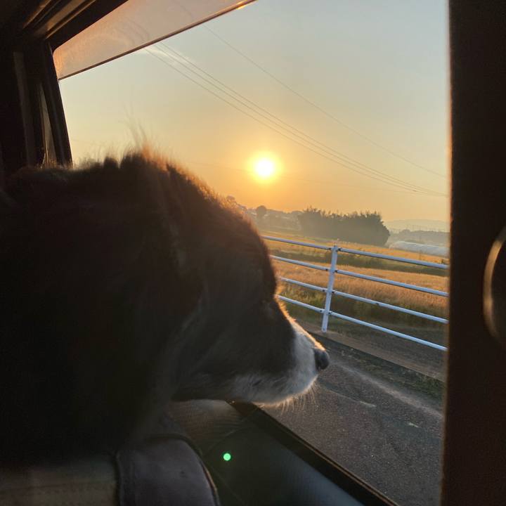 579b927c c66e 47bc a399 7ee214a29817 1698271386171