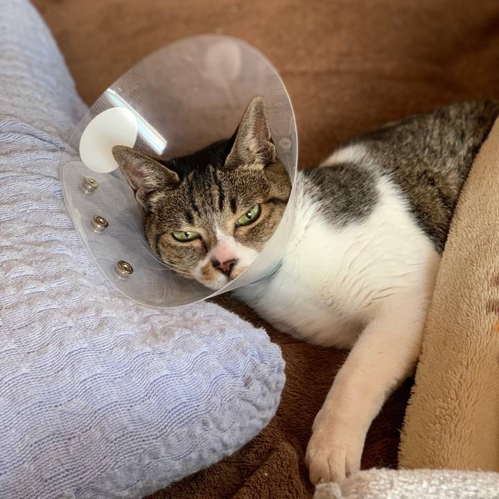 579b9776 0486 4e9b 84fe 6d9e52267515 1554601023617