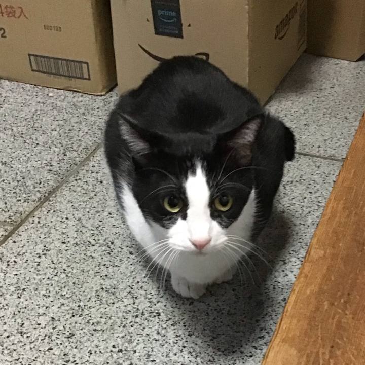 579b9ae3 6350 4d54 9ca7 25b904ae5cca 1762592561091