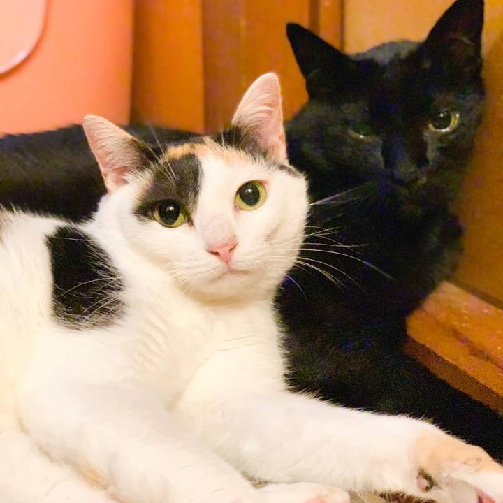 579bce40 e9d9 448a b2df 4476dda5c90a 1569377198205