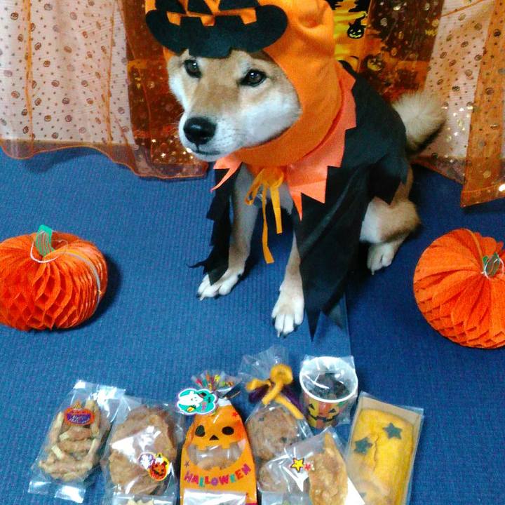 579c040e 44f9 4820 82cf 7e1ef78379c1 1507716357209