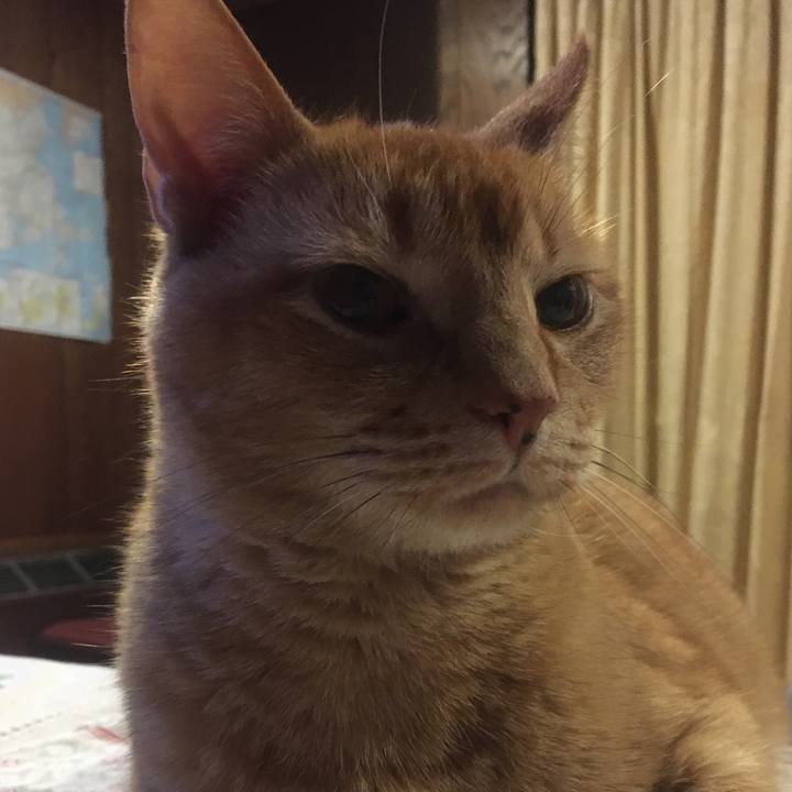 579c4e6e f7aa 41ad 9d62 f3f6af6e0450 1617236899562