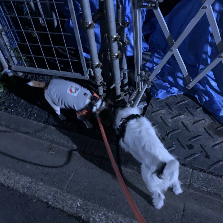 579c79ca d331 4864 bc56 afd80a93046a 1596025310671