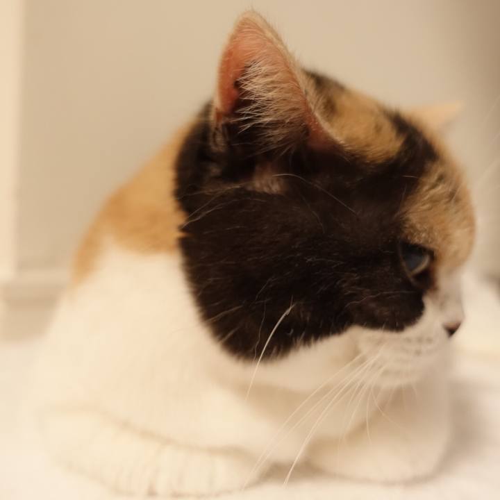 579cb733 ec97 4952 8b82 6aeb96ca9393 1524745103622