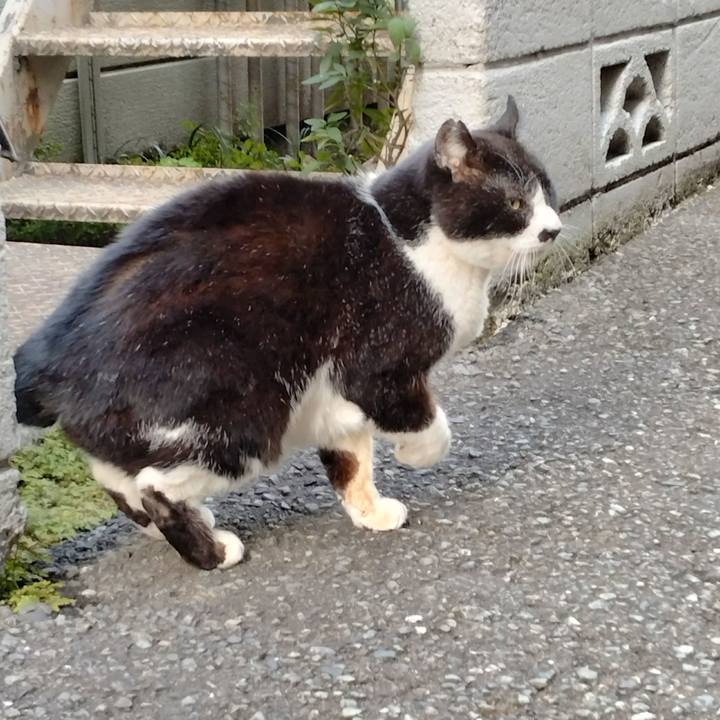 579cbc5b 13b5 4e58 8f72 517ff3ee917c 1707637245952