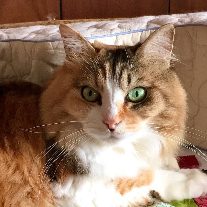 579cc58b 4403 49ae 9d3e 7c3d171f2cd6 1590996650491