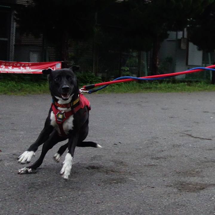 579cc934 c6a7 460c a660 269430a931aa 1589883115437