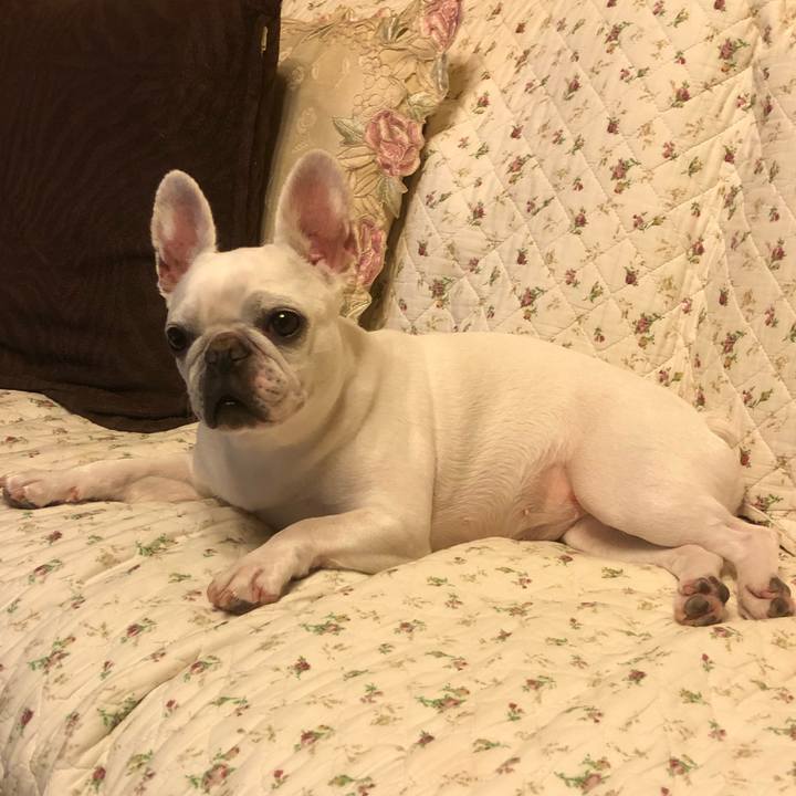 579cdf7d 6684 4dd8 8170 7f2aad2c0e31 1593870213623