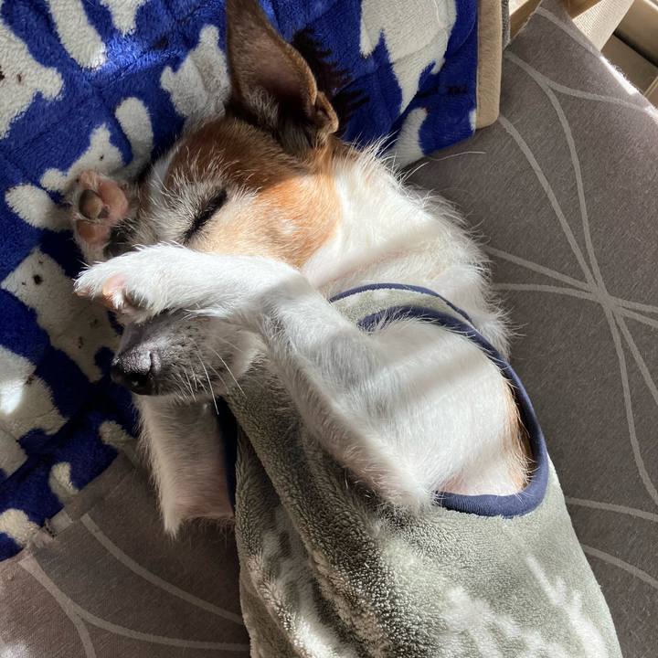 579d2f55 ea12 4b9c bef0 e5712199d929 1671235143954