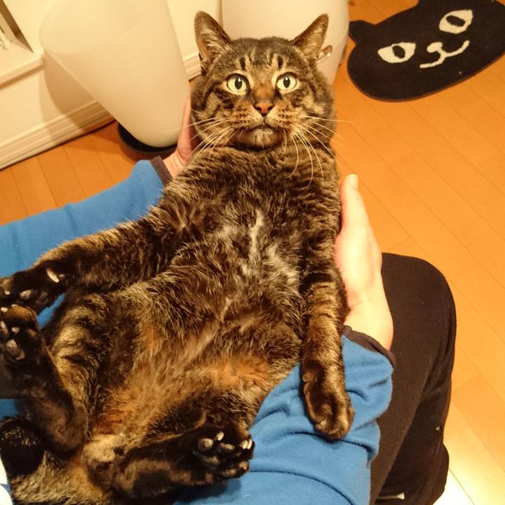 579d56a1 cf7f 4704 900f c48615491518 1546683941155