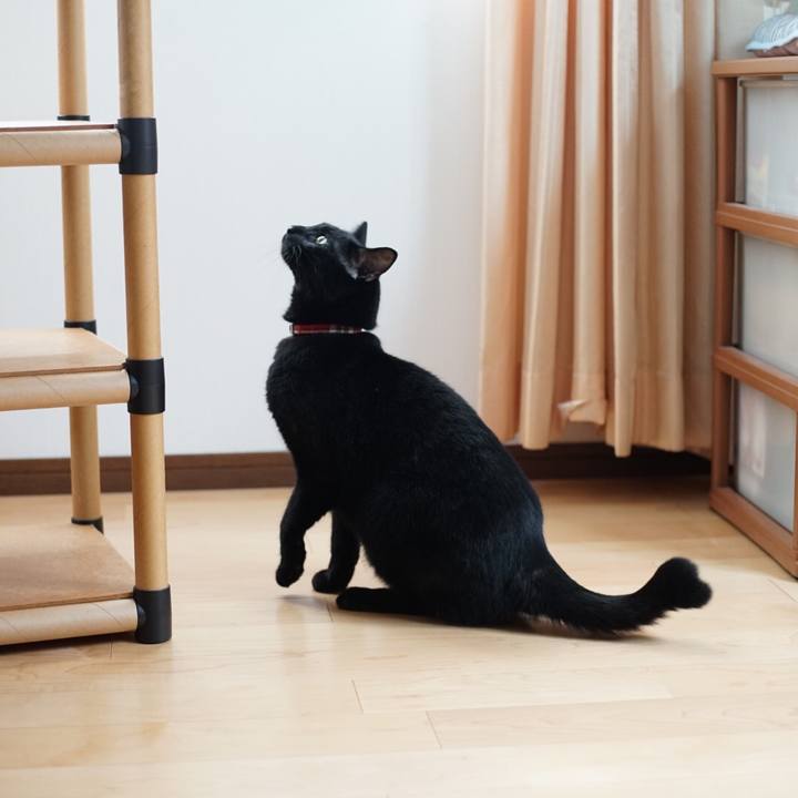 579db0d1 9d3f 4d69 9de2 9acffa38eaec 1534118169237