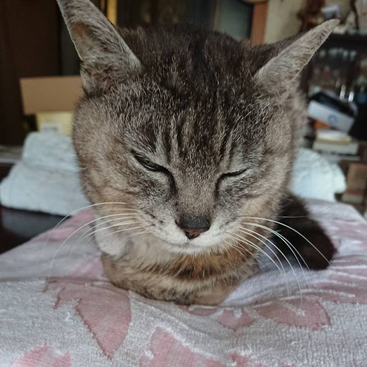 579db135 df02 4847 aad3 989bd10bc56f 1591423326437