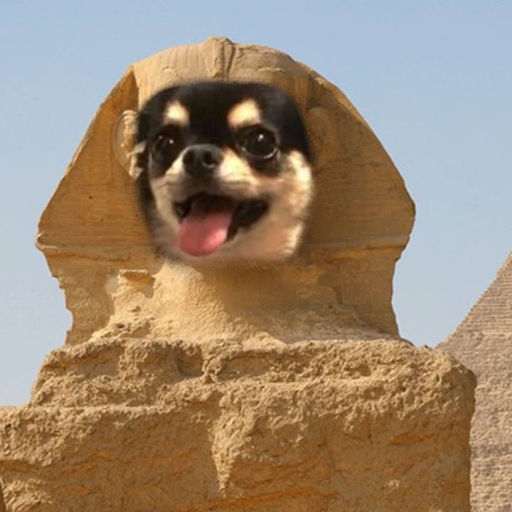 579db78f 1cf9 4cc3 8d39 6bb8c58d34e1 1615278921697