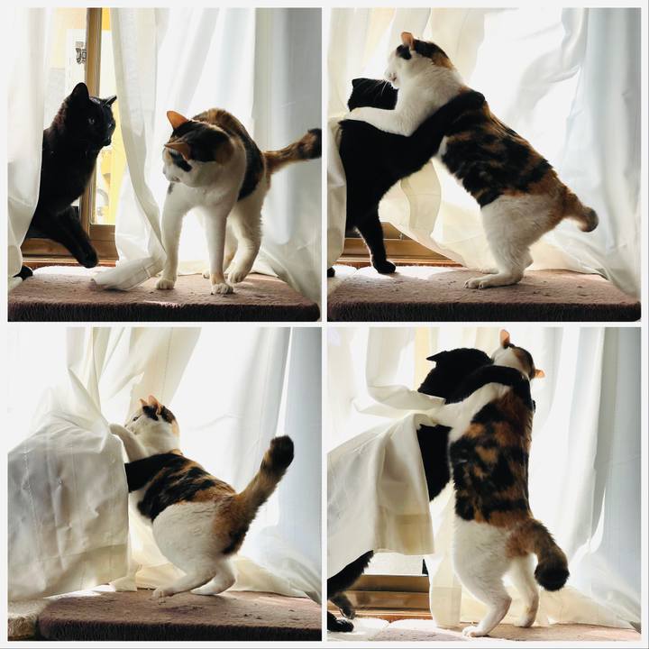 579dccaf aa0d 424f bb3b 69b7976e7271 1649379805865