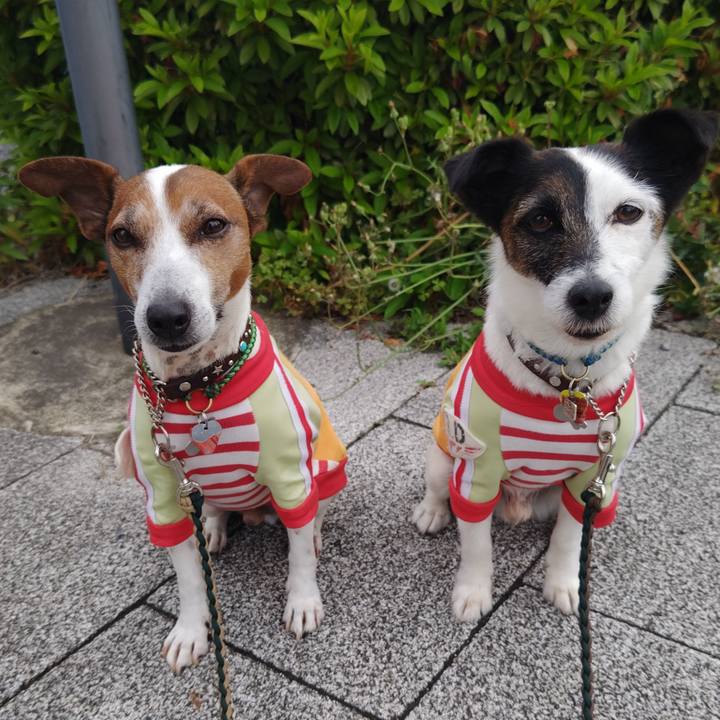 579e1eac 784a 46e7 843b 45e20970f26f 1747556928114