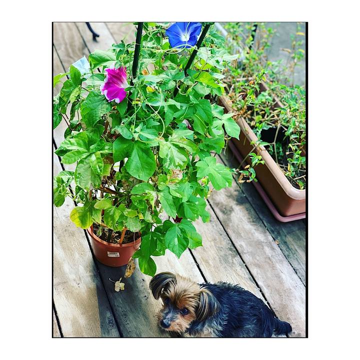 579e32d6 7200 472b ab2d 1c19de282e78 1630015446945