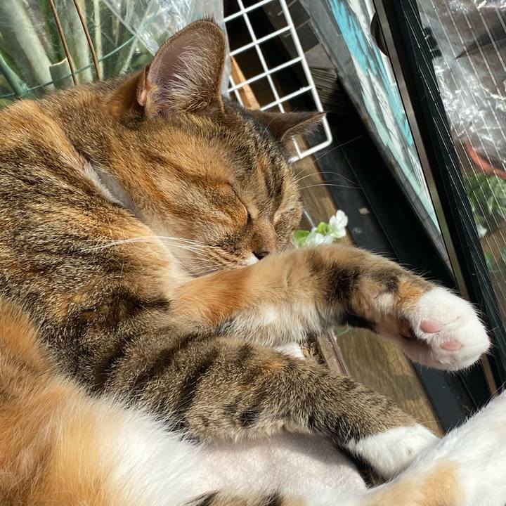 579e3ec3 b6b5 4c98 a950 56a67ae70fd3 1644988768171