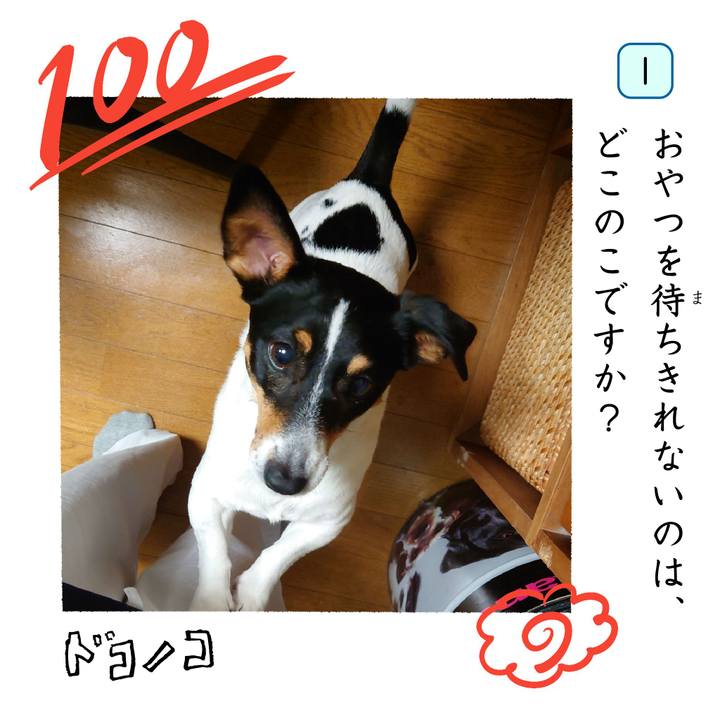 579e46fe 44d0 440f 987b 67e846238fc1 1744460059915