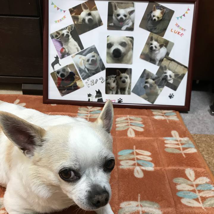 579ebda0 84f3 436d 98dc 32ae84301c28 1518784866848