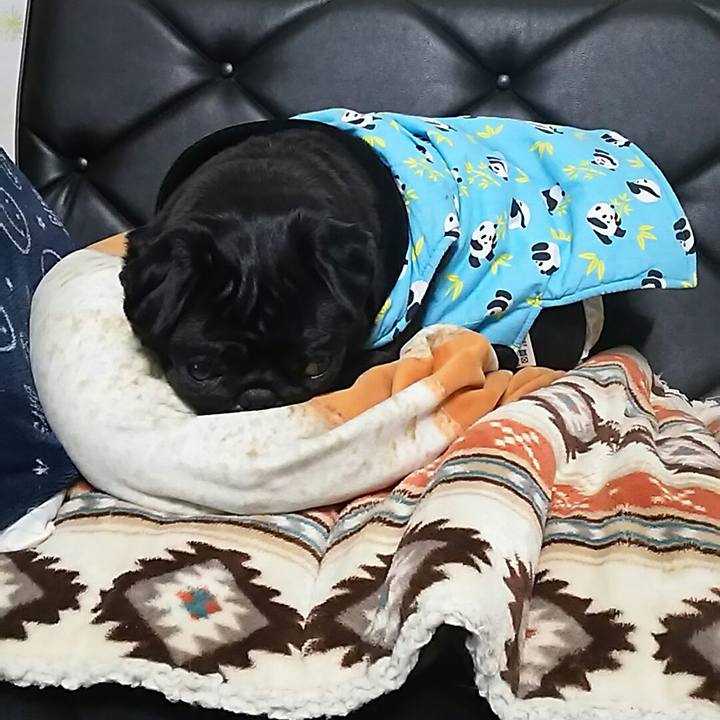 579eca5c a796 4b75 8967 50731cc7a5c5 1547214764266