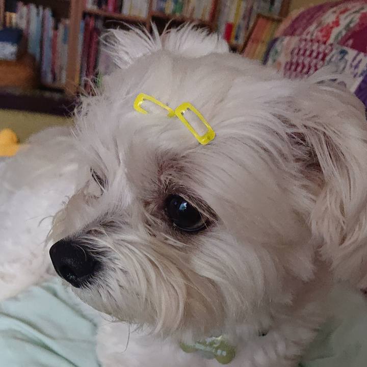 579ee568 9cb9 42d5 a822 3696236907b7 1562730239207