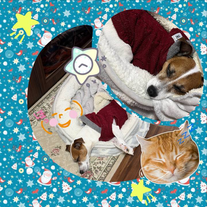 579eee9e e1ea 466c bf11 3d81f304f7b1 1766649225532