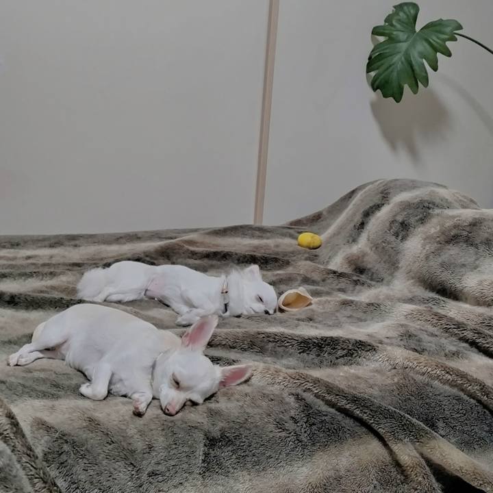 579f22e1 f106 4a03 8e9a bd2ec456eaa0 1747860683810