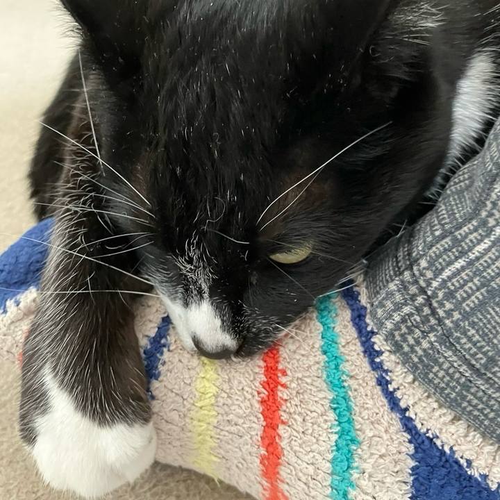 579f2b86 4856 4636 bfc6 4ad5f94a5dfa 1707103972761