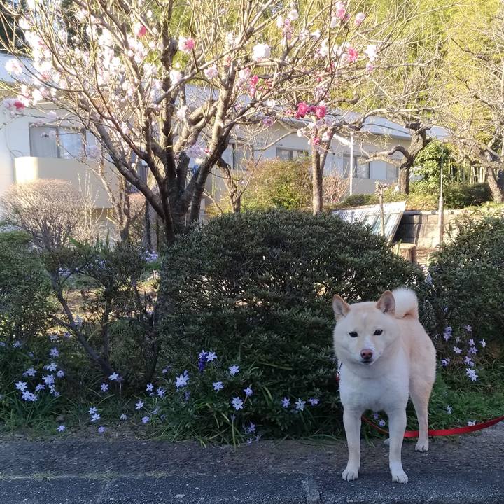 579f2d69 4752 42a5 8b1e 71392b97fe73 1585092144028