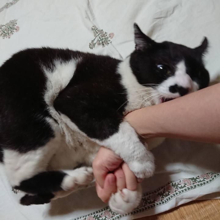 579f6da7 6103 47af bfc2 50b2a0ced556 1634348049794