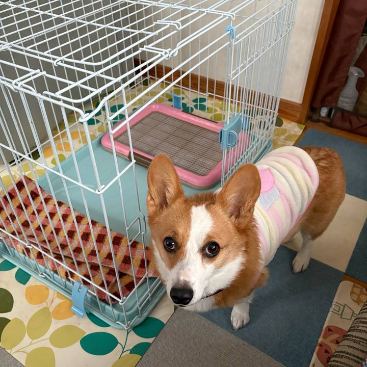 579f77e2 d6cb 41c2 aca2 f7d9a0cdd909 1767336996027