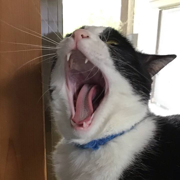 579fa870 220e 4fe2 bdbb 8774decc792d 1748157477970