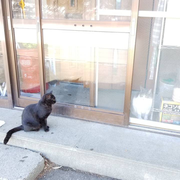 579fd24b 1a3d 431d ba24 f55ef16a14f7 1584508599089