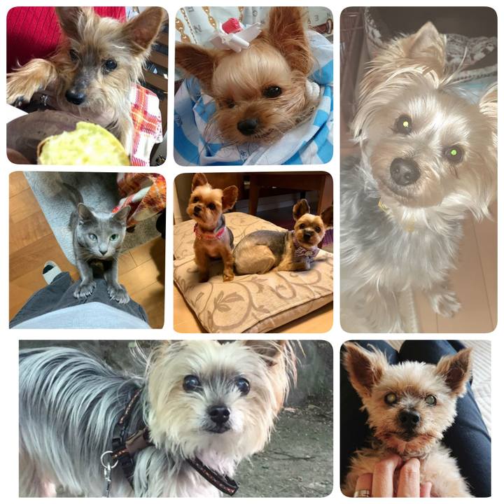 579febaf a5f1 4a7e 818c 91240ef3ff05 1679004185566