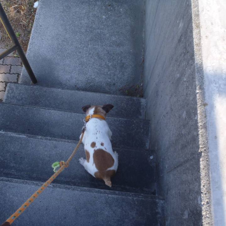 579ff8f0 e8fe 4315 bf84 31748a85cfe8 1535179450931