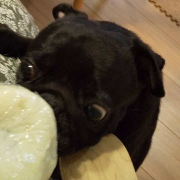 57a01eb2 f472 4f56 8615 7136d235b60f 1593353667872