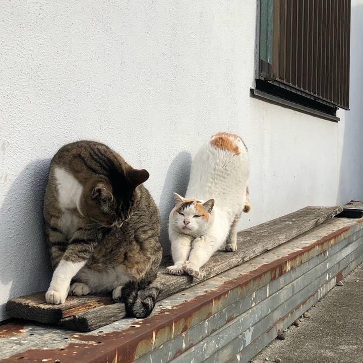 57a032fc 80a4 432d a555 7be14219e3d8 1544460840915