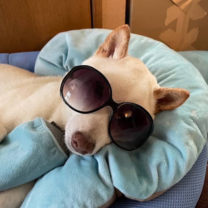 57a045da 731e 464a a67a f84cee8d48be 1651639169847