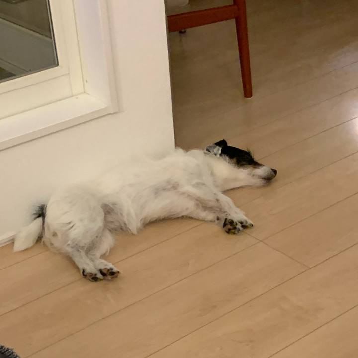 57a064c2 3a9c 492b b500 e4b6b39749ea 1719755089689