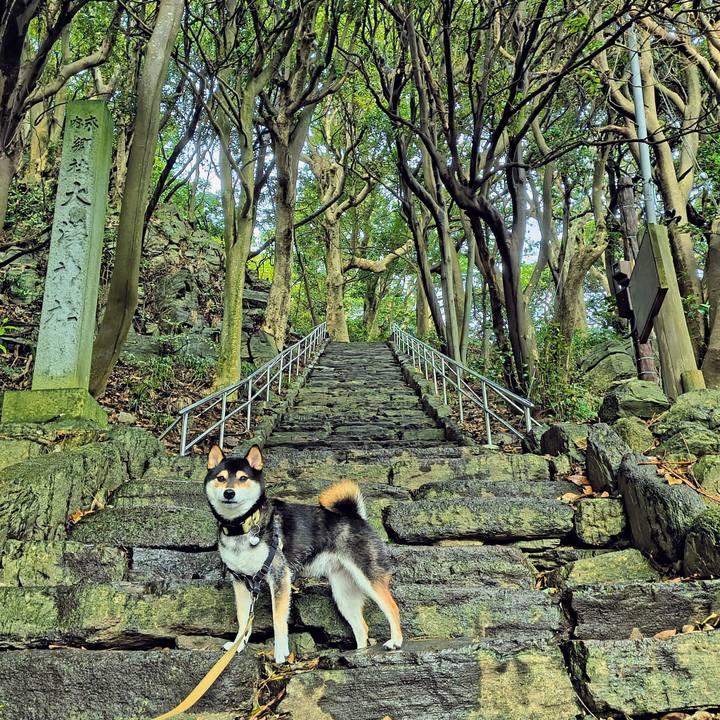 57a0855b 2d7d 49ff 8bf8 08d060a30fb5 1761918619610