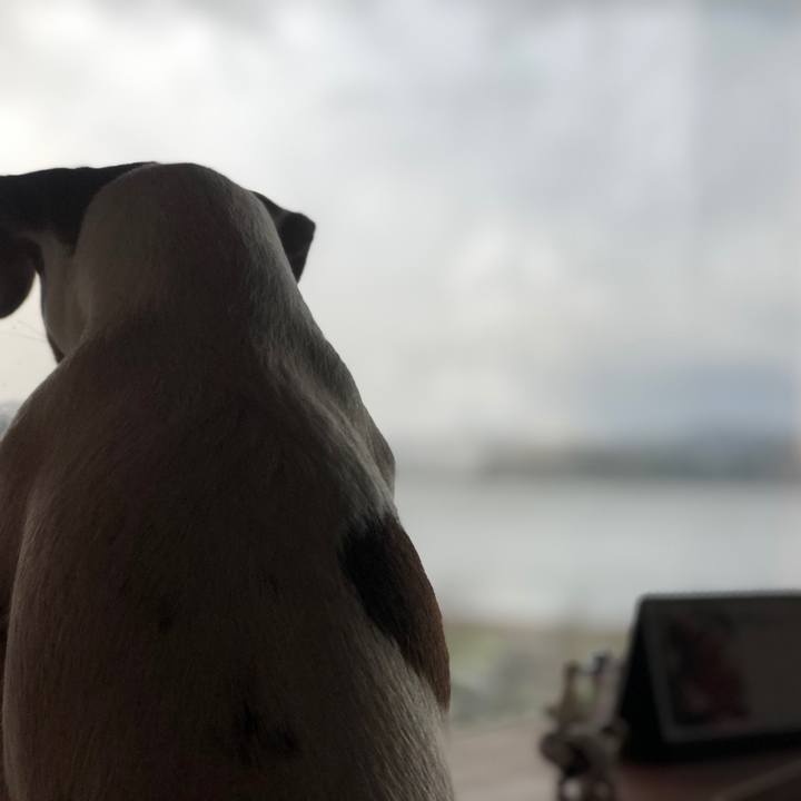 57a09e9f d252 4da2 96f5 784721aad905 1546073034170